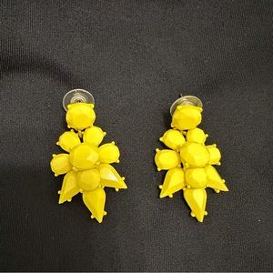 JCrew Factory Opaque Statement Dangle Earrings
